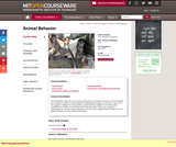 Animal Behavior, Fall 2013