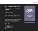 Introduction to the American Criminal Justice System