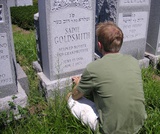 Introduction to Sociology 2e, Aging and the Elderly, The Process of Aging