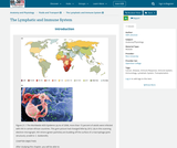 Anatomy and Physiology, Fluids and Transport, The Lymphatic and Immune System