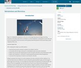 Anatomy and Physiology, Energy, Maintenance, and Environmental Exchange, Metabolism and Nutrition