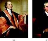American Government, Delivering Collective Action: Formal Institutions, The Courts, Guardians of the Constitution and Individual Rights