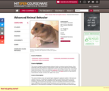 Advanced Animal Behavior, Spring 2000