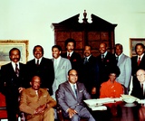 American Government, Delivering Collective Action: Formal Institutions, Congress, Congressional Representation